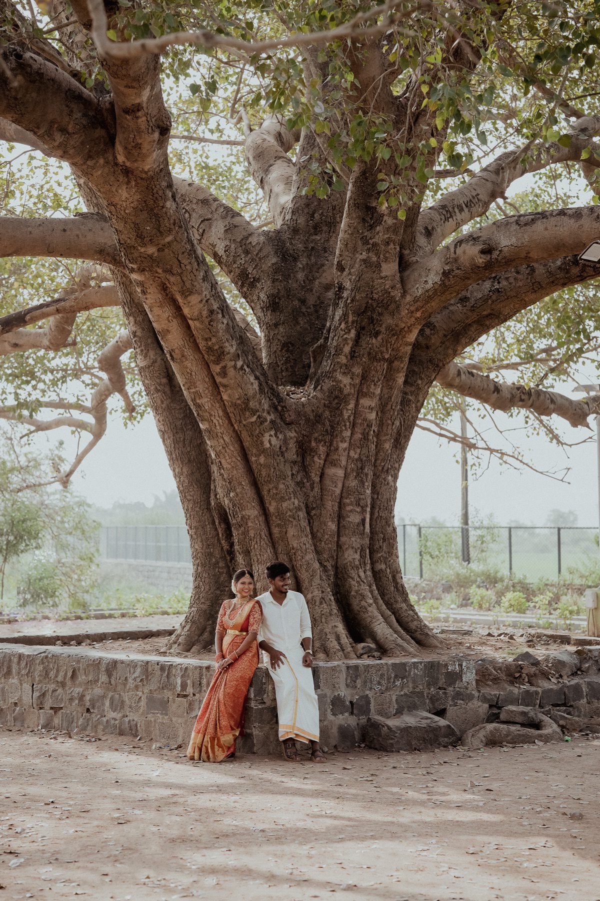 Couple standing beneath a vast banyan tree